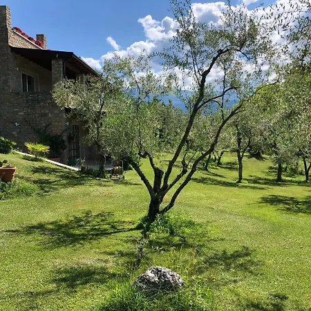 Bed and Breakfast La Cascata Negli Ulivi