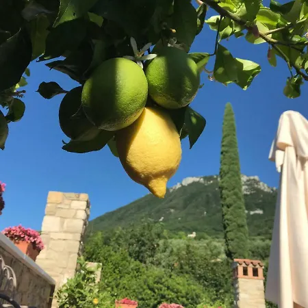 Bed and Breakfast La Cascata Negli Ulivi 3*