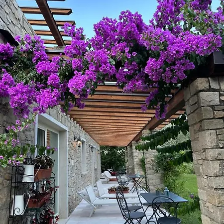 Bed & Breakfast La Cascata Negli Ulivi Toscolano-Maderno